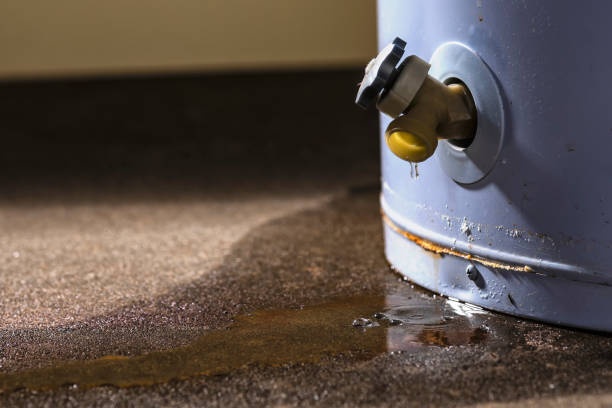 Best Water damage restoration near me  in Beardstown, IL