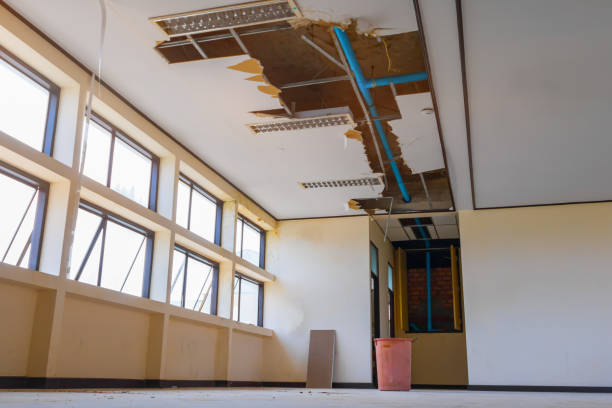 Best Flood damage cleanup  in Beardstown, IL
