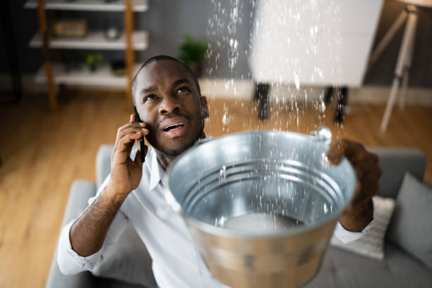 Best Mold removal after water damage  in Beardstown, IL