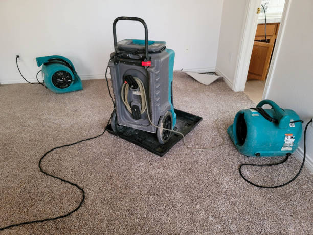 Best Carpet water damage restoration  in Beardstown, IL