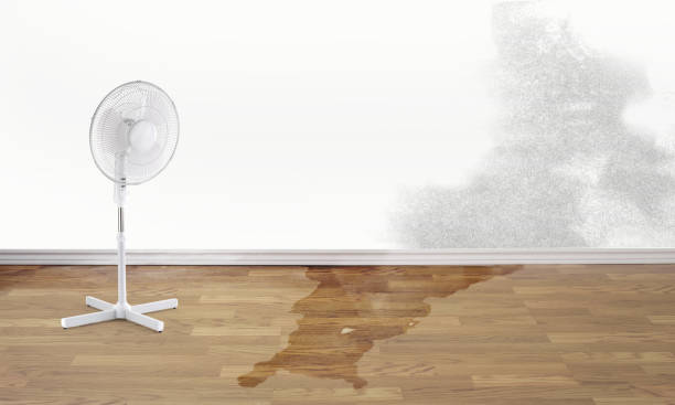 Best Emergency water damage restoration  in Beardstown, IL