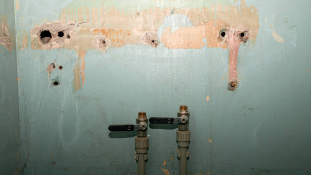 Best Carpet water damage restoration  in Beardstown, IL